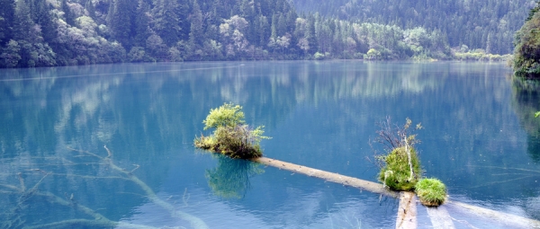 jiuzhaigou191018b