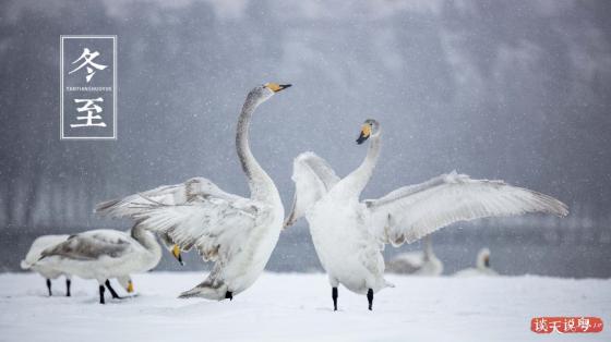 广东最低7℃！注意防寒保暖